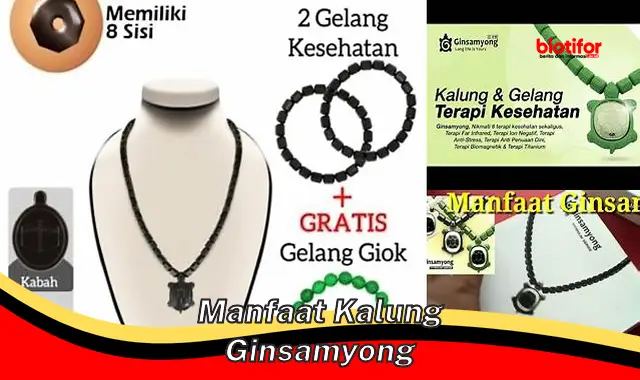 manfaat kalung ginsamyong