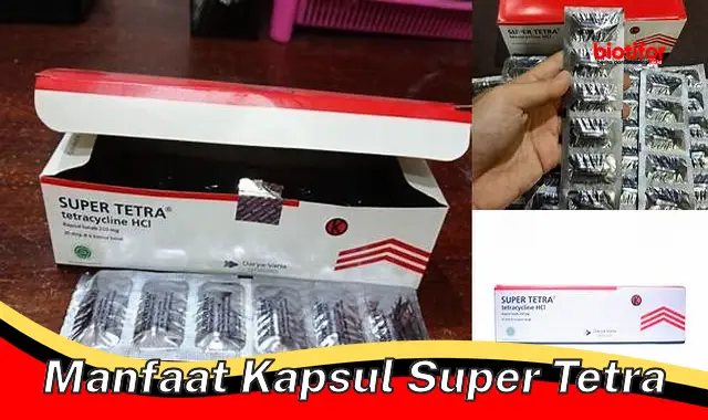 manfaat kapsul super tetra