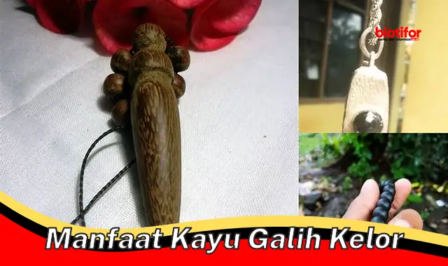 manfaat kayu galih kelor