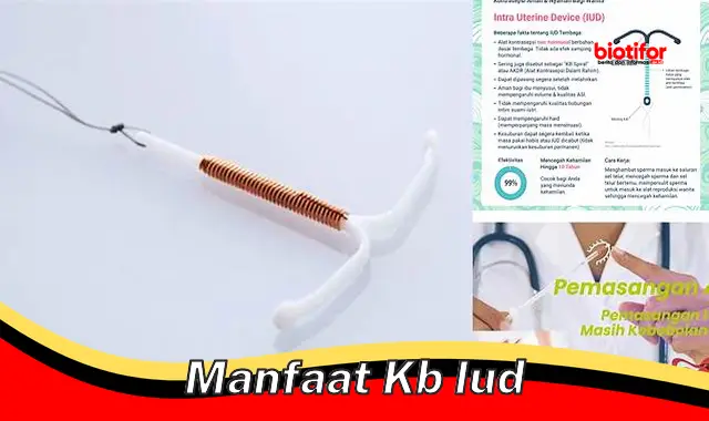 manfaat kb iud