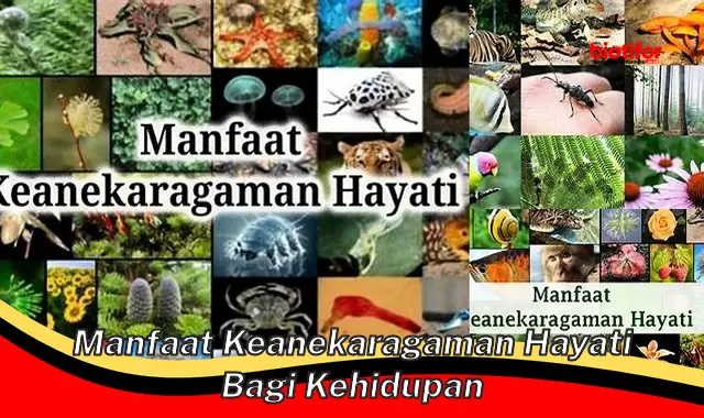 manfaat keanekaragaman hayati bagi kehidupan