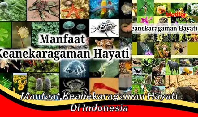 Temukan 5 Manfaat Keanekaragaman Hayati di Indonesia Jarang Diketahui