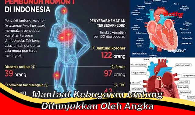 manfaat kebugaran jantung ditunjukkan oleh angka