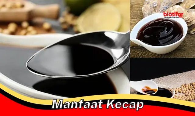 manfaat kecap