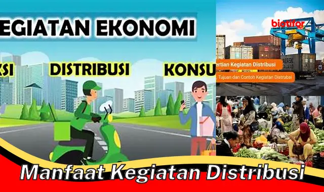 manfaat kegiatan distribusi