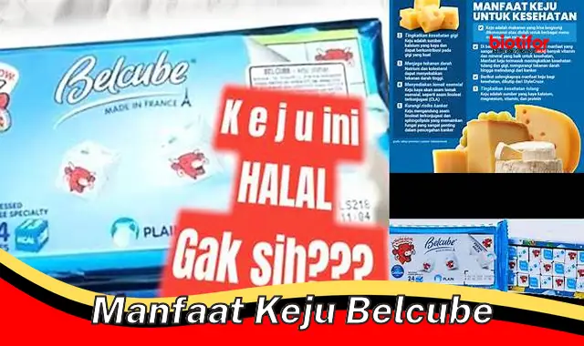 manfaat keju belcube