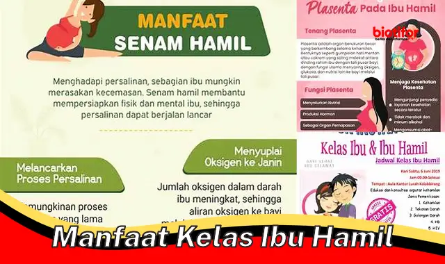 Temukan Rahasia Manfaat Kelas Ibu Hamil yang Perlu Diketahui