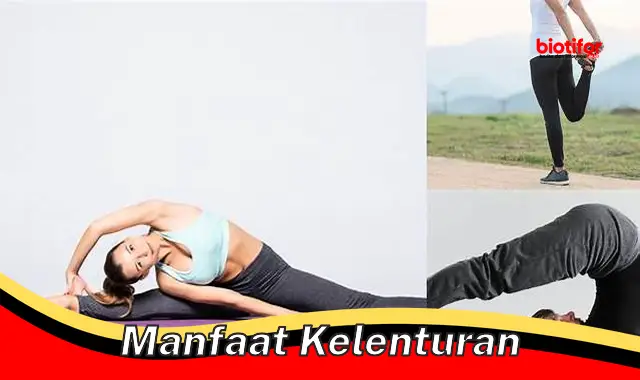 manfaat kelenturan