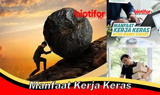 manfaat kerja keras