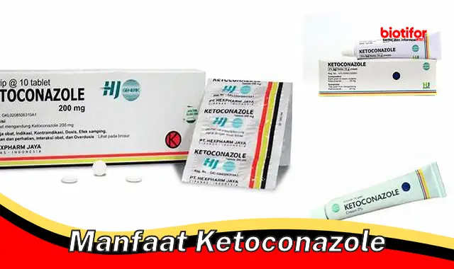 manfaat ketoconazole