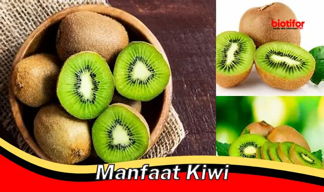 manfaat kiwi