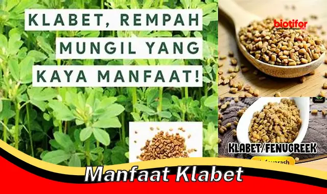 Temukan Manfaat Klabet yang Jarang Diketahui