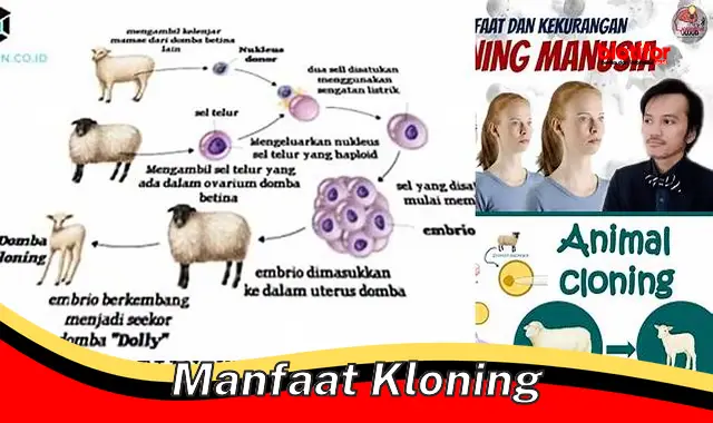 manfaat kloning