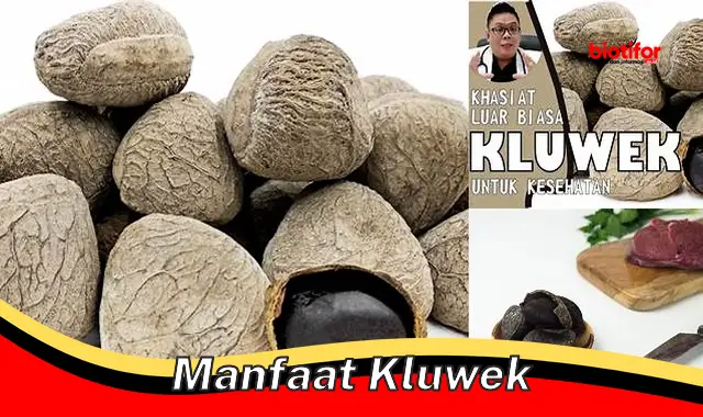 manfaat kluwek