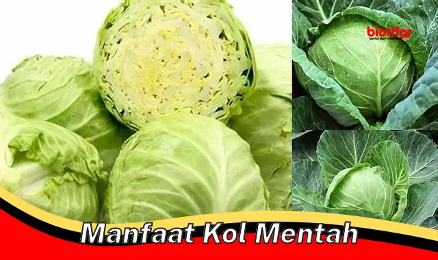 manfaat kol mentah