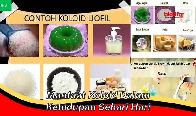 manfaat koloid dalam kehidupan sehari hari