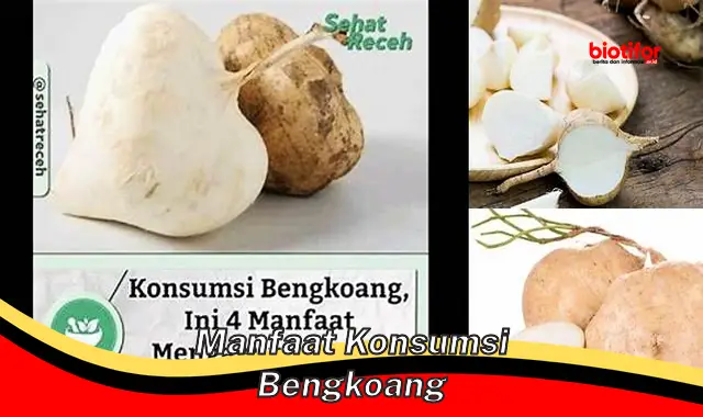 Temukan Manfaat Konsumsi Bengkoang yang Jarang Diketahui