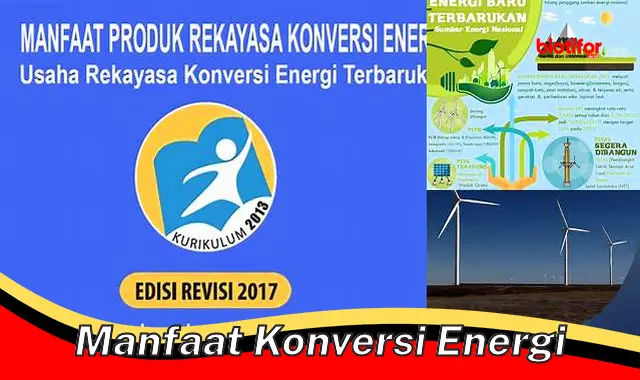 Temukan 5 Manfaat Konversi Energi Anda Harus Tahu