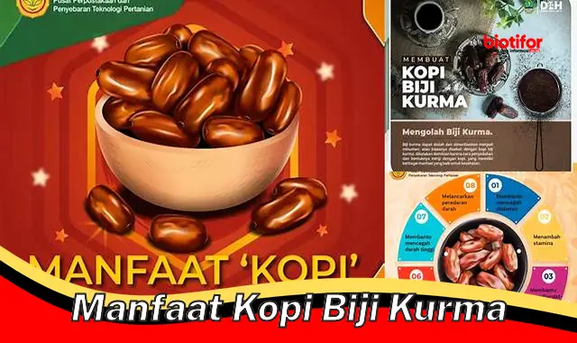 manfaat kopi biji kurma