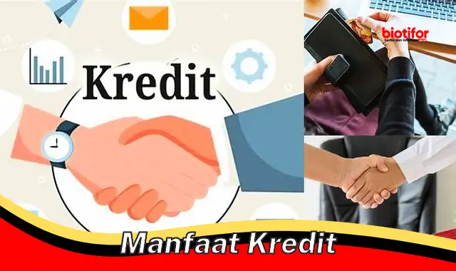 manfaat kredit