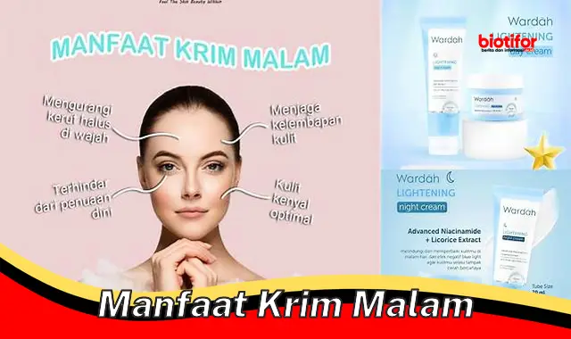 manfaat krim malam