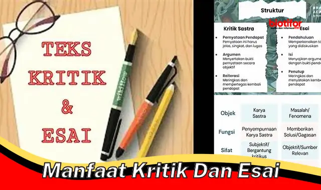 manfaat kritik dan esai