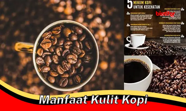 manfaat kulit kopi