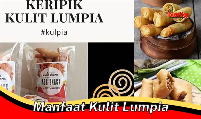 Temukan Manfaat Kulit Lumpia yang Jarang Diketahui