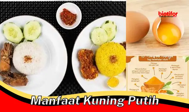 Temukan Manfaat Kuning Putih yang Jarang Diketahui