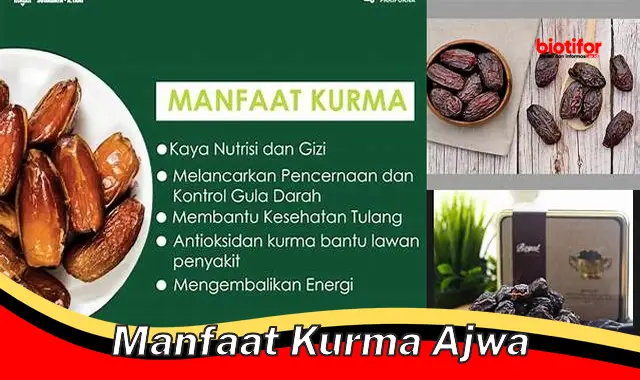 manfaat kurma ajwa