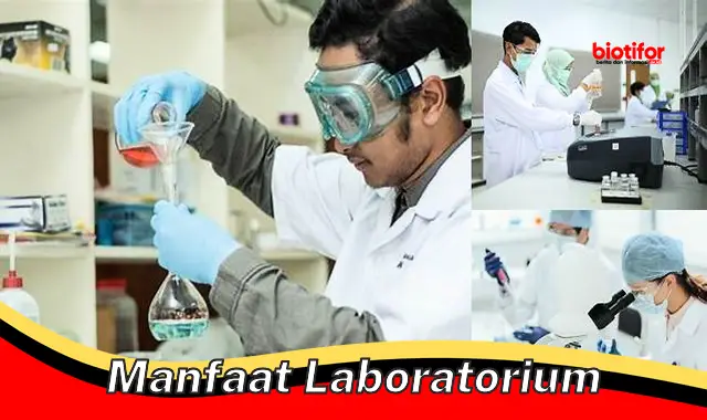 manfaat laboratorium