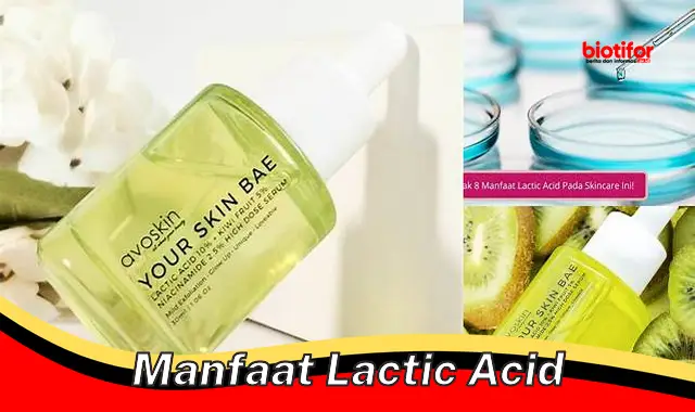 manfaat lactic acid