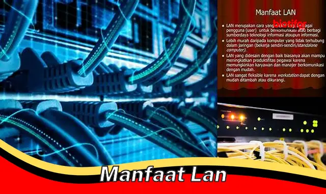 manfaat lan