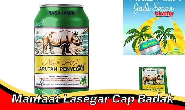 manfaat lasegar cap badak