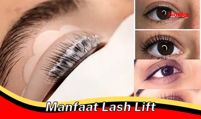 manfaat lash lift