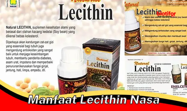 manfaat lecithin nasa