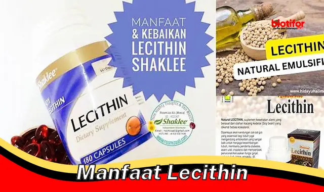 manfaat lecithin