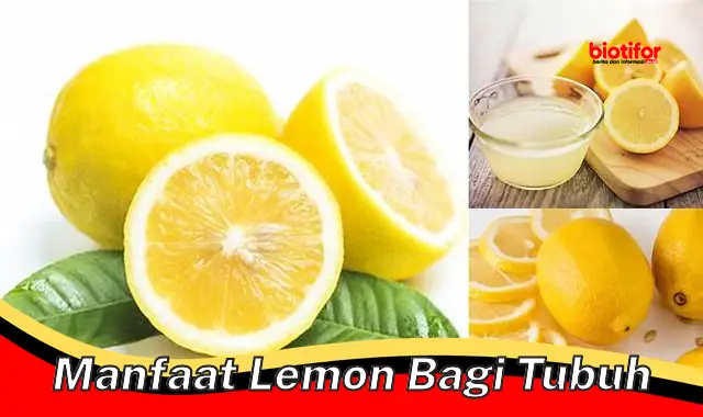 manfaat lemon bagi tubuh