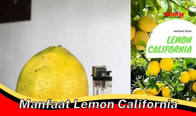 manfaat lemon california