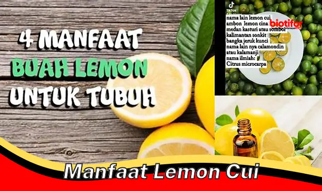 manfaat lemon cui