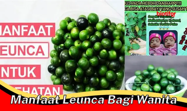 Temukan Manfaat Leunca untuk Wanita yang Belum Banyak Diketahui