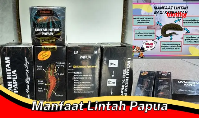 manfaat lintah papua