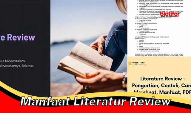 manfaat literatur review