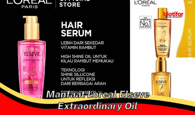 manfaat loreal elseve extraordinary oil