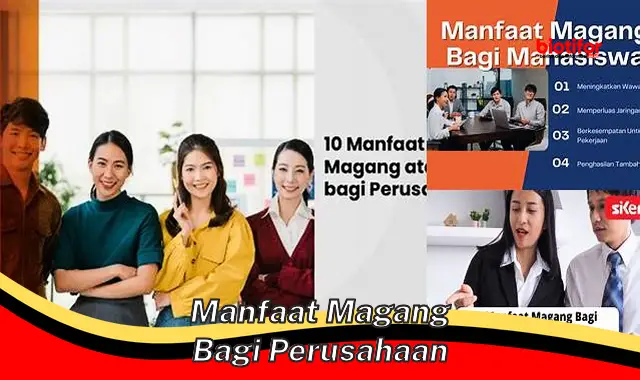 5 Manfaat Magang untuk Perusahaan yang Perlu Anda Ketahui