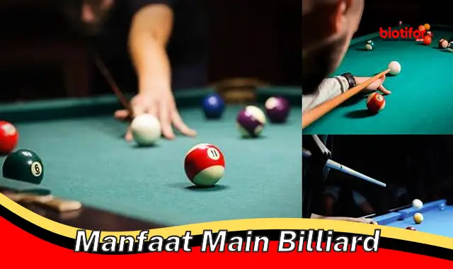 manfaat main billiard