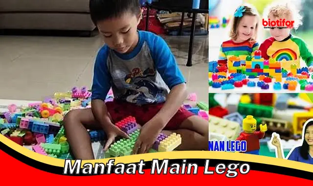 Temukan Manfaat Main Lego yang Jarang Diketahui