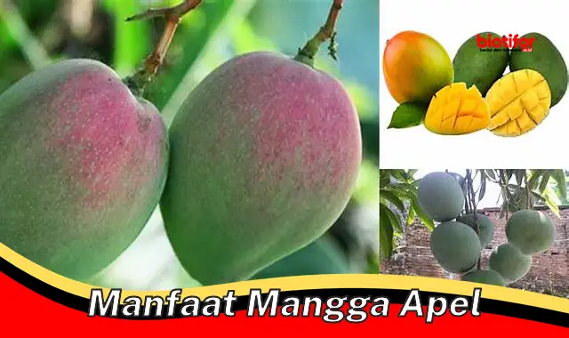 manfaat mangga apel