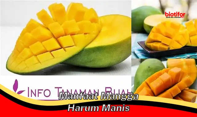 Temukan Manfaat Mangga Harum Manis yang Jarang Diketahui