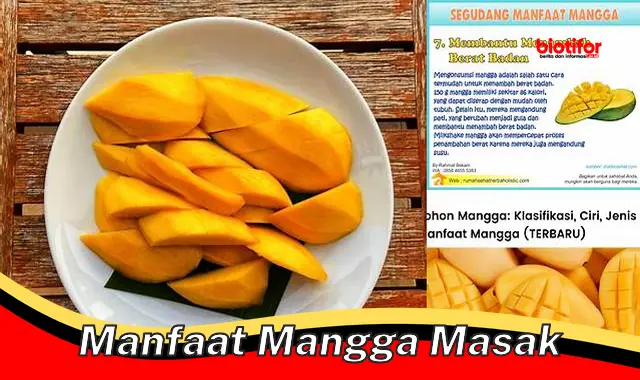 manfaat mangga masak